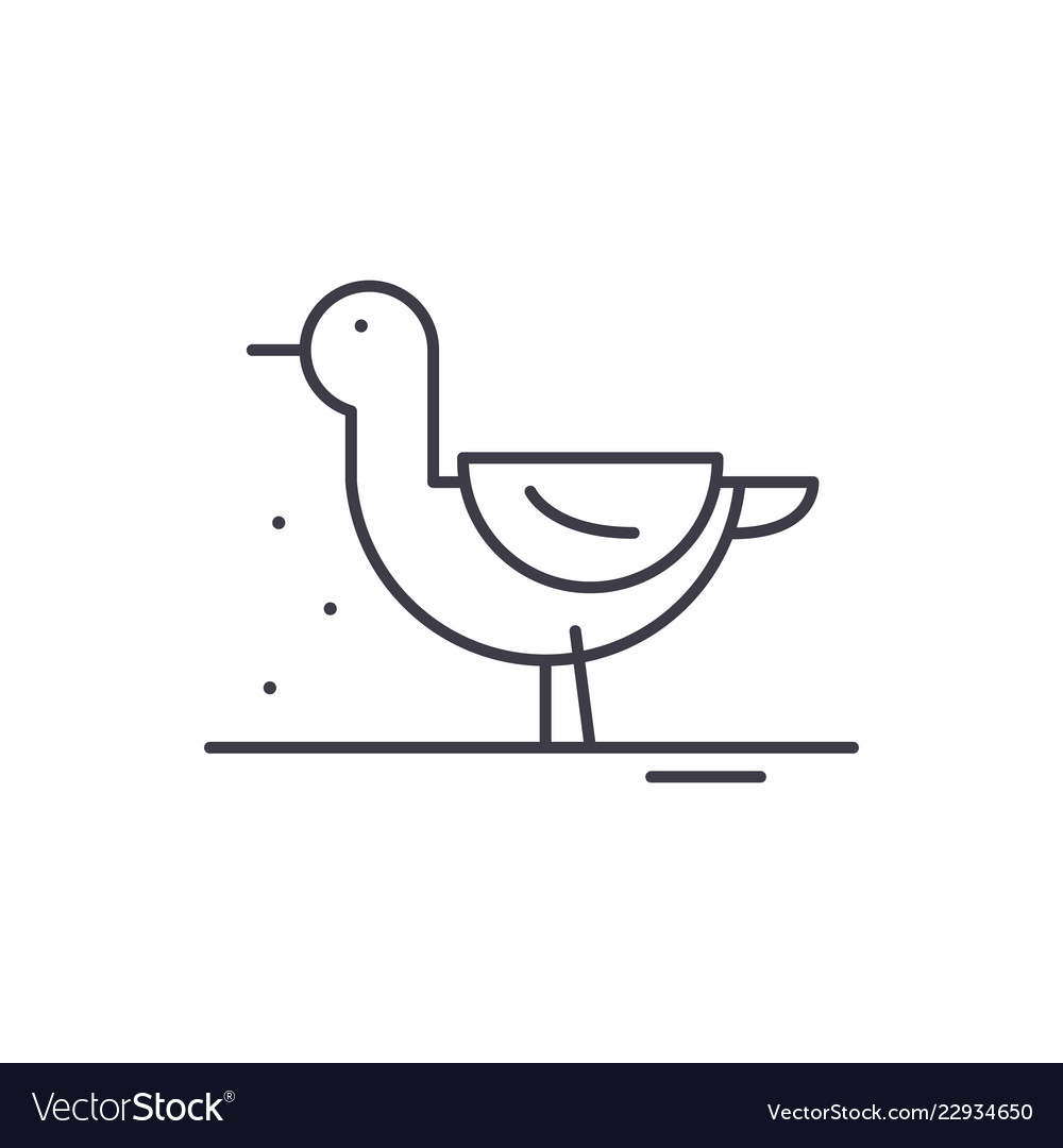 Duck line icon concept linear