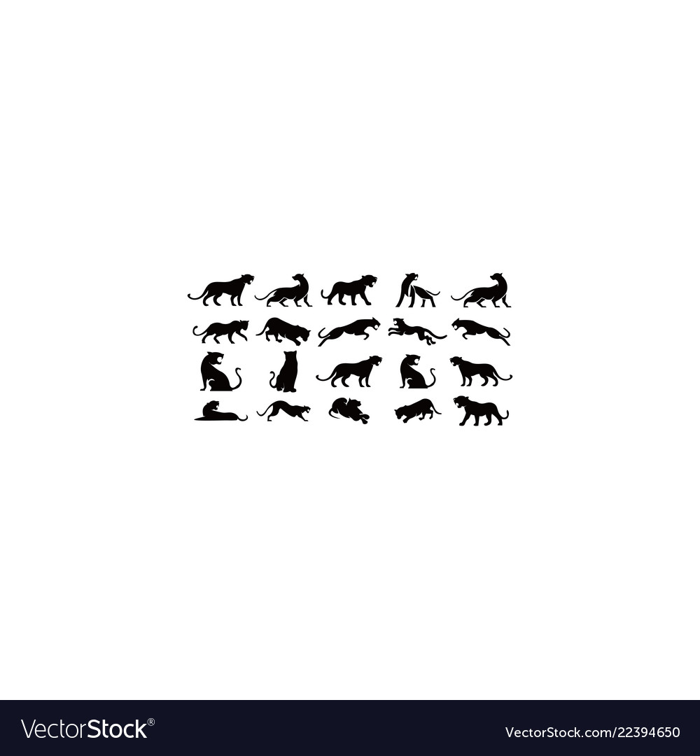 Leopardspuma panther and tiger action silhouette