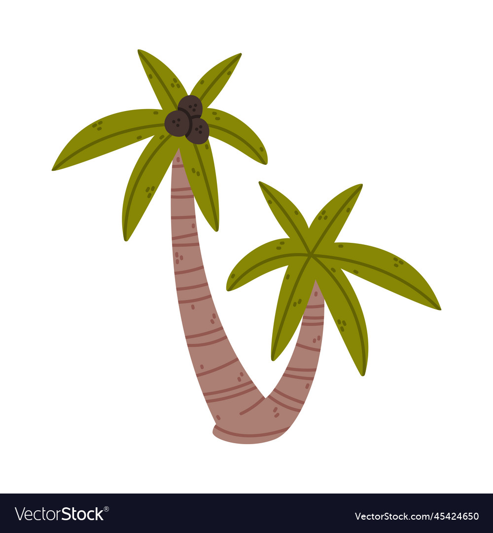Palm tree with trunk and leaves on top growing in Vector Image