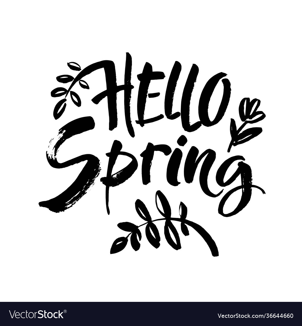 Phrase Hello Spring Brush Lettering Isolated Vector Image