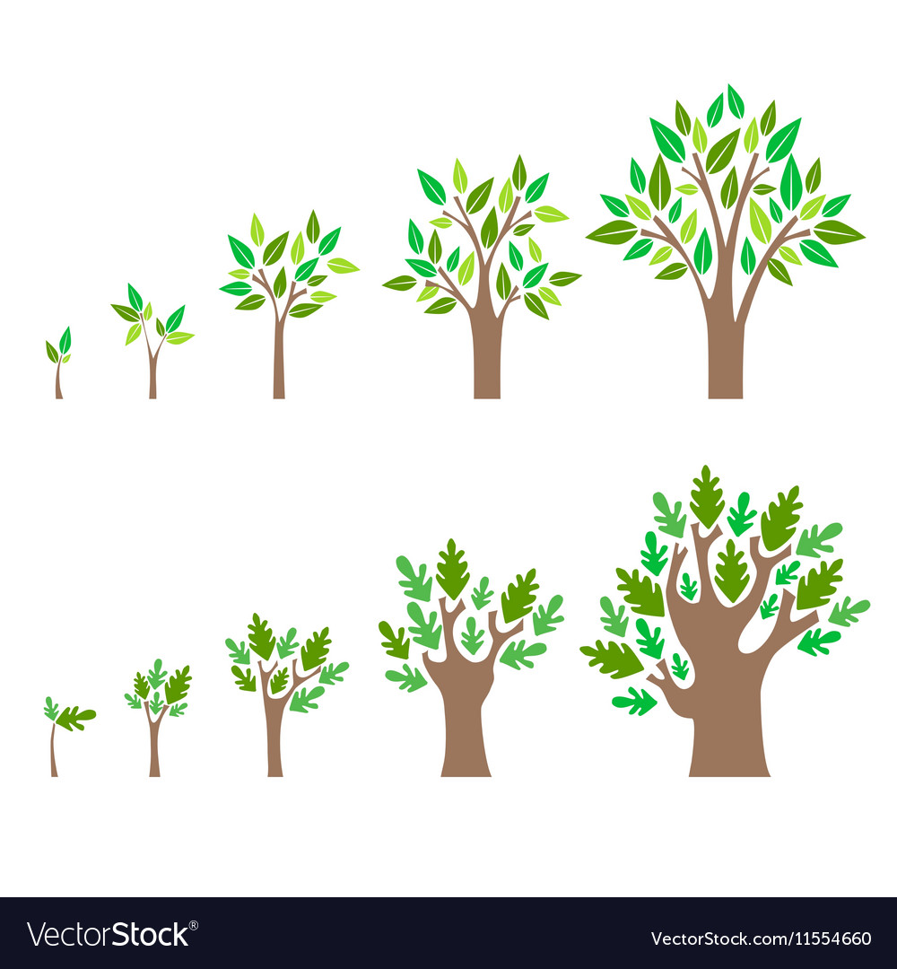 Growth stage Vectors, Clipart & Illustrations for Free Download