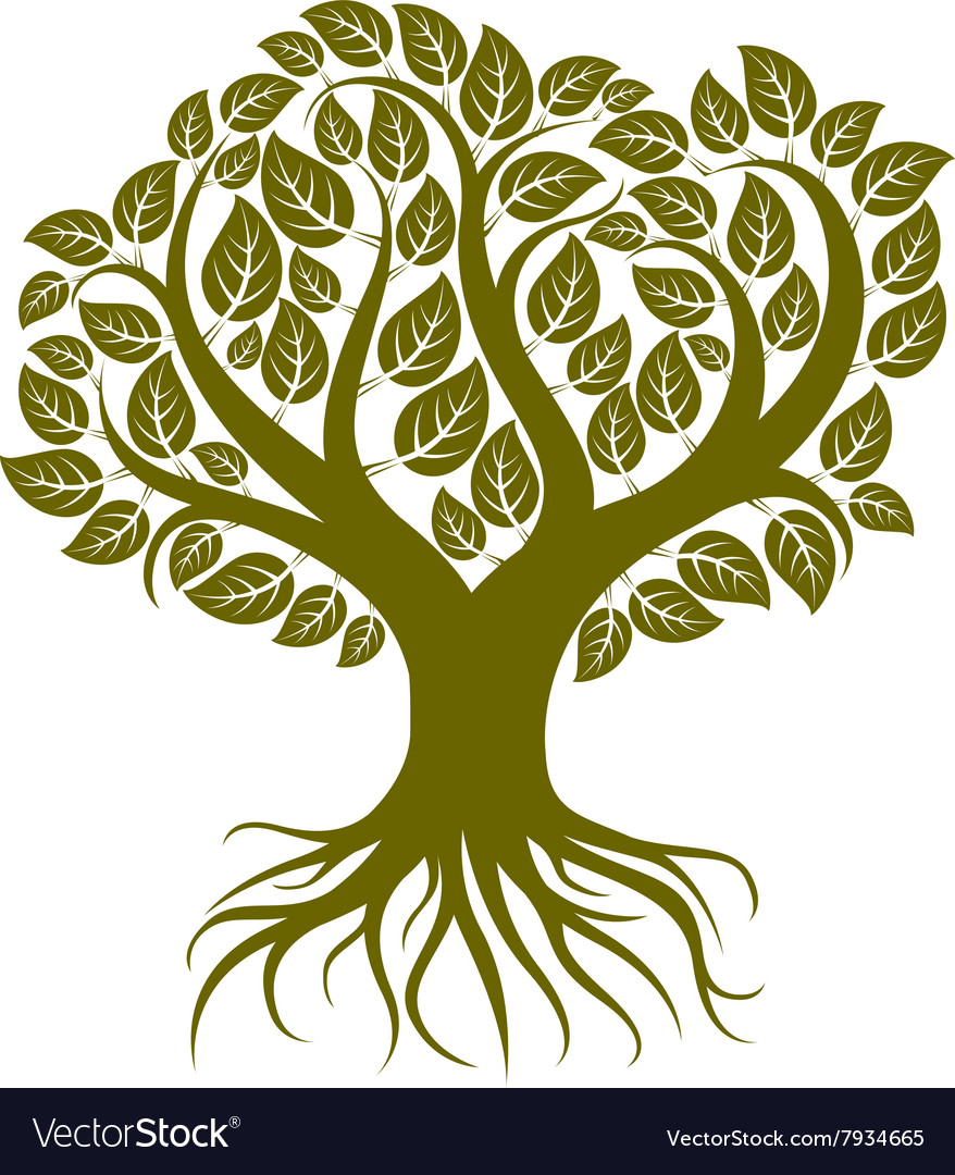 Art of branchy tree with strong roots Tree Vector Image