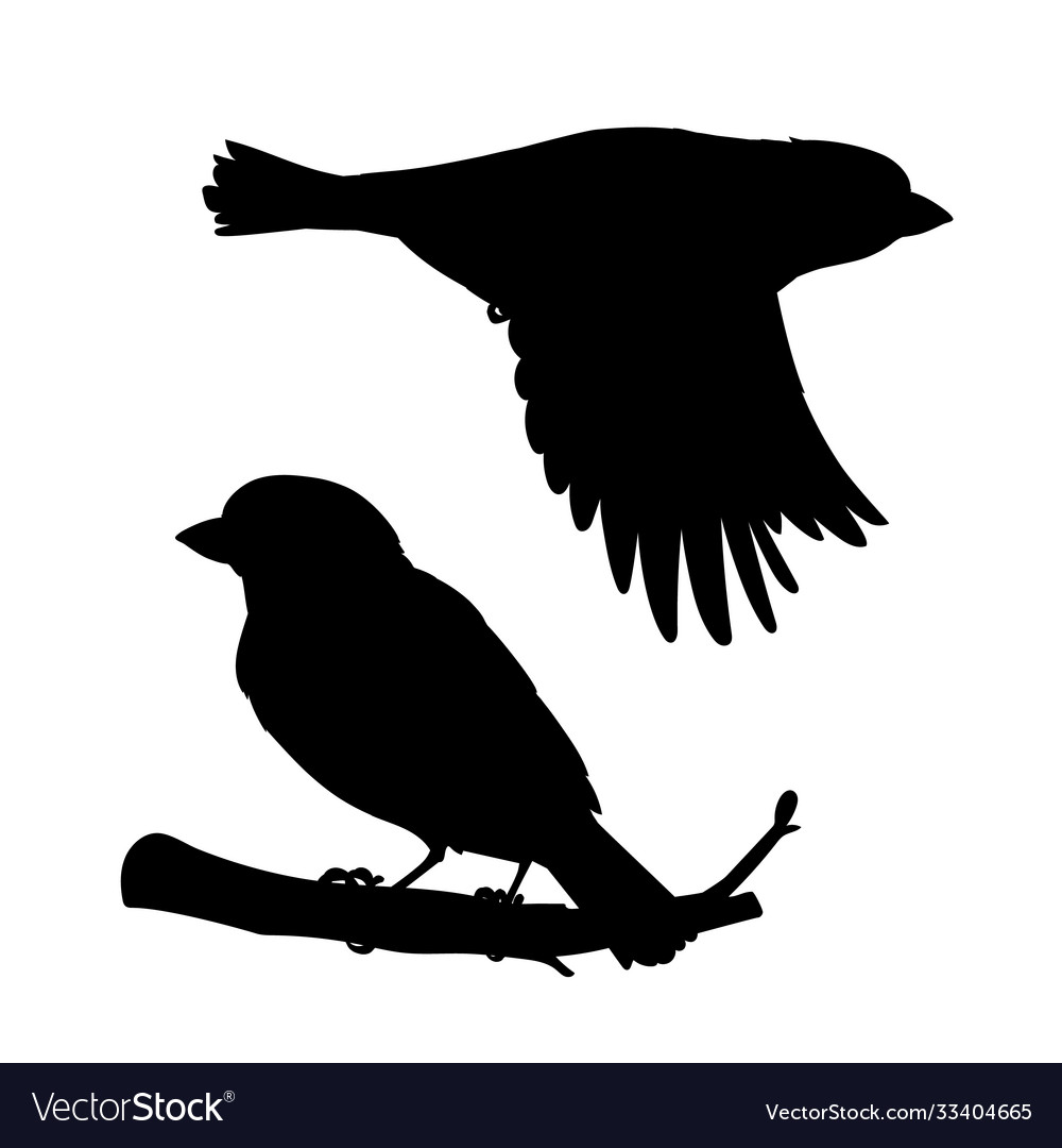 Sparrow Silhouettes - Flying & Sitting