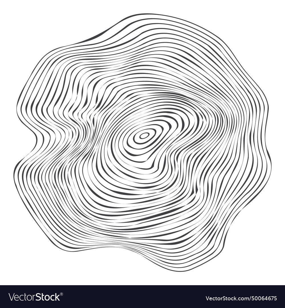 Wooden topography circles wood organic slice line vector image Wooden topography circles wood organic slice line