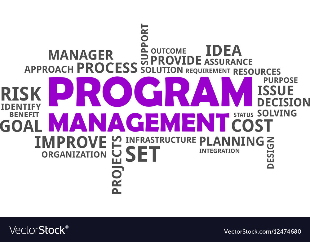 Word cloud program management Royalty Free Vector Image
