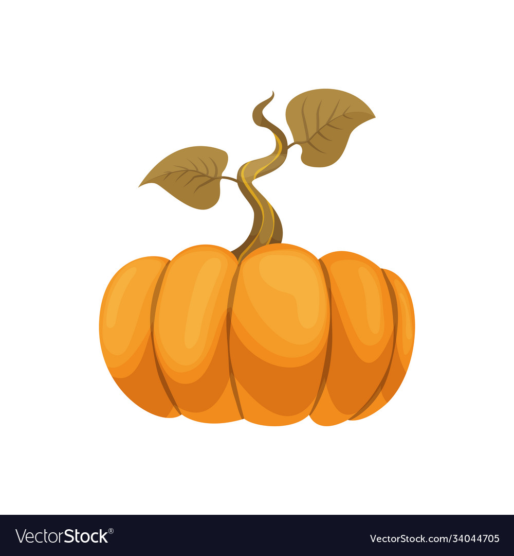Cartoon Kürbissymbol orange und gelb Herbst vector image Cartoon Kürbissymbol orange und gelb Herbst