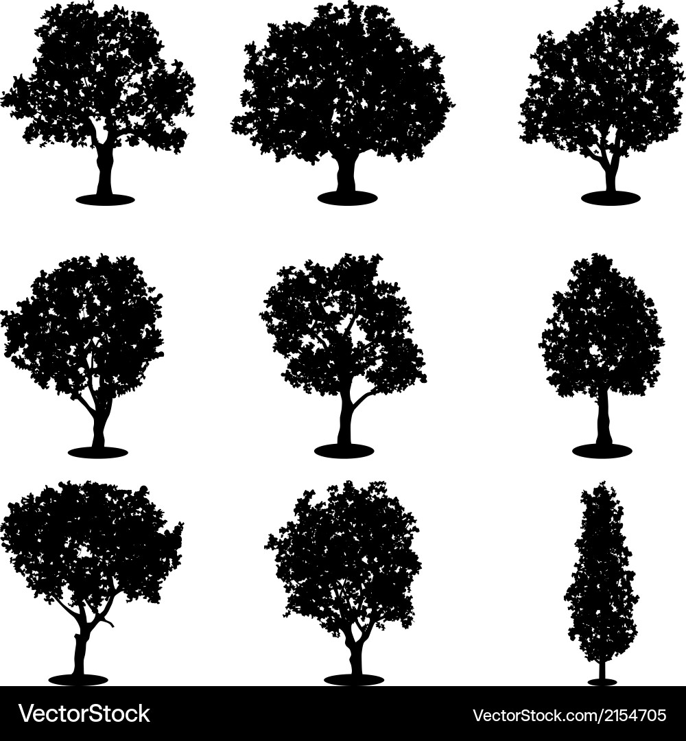 Trees silhouettes Royalty Free Vector Image - VectorStock