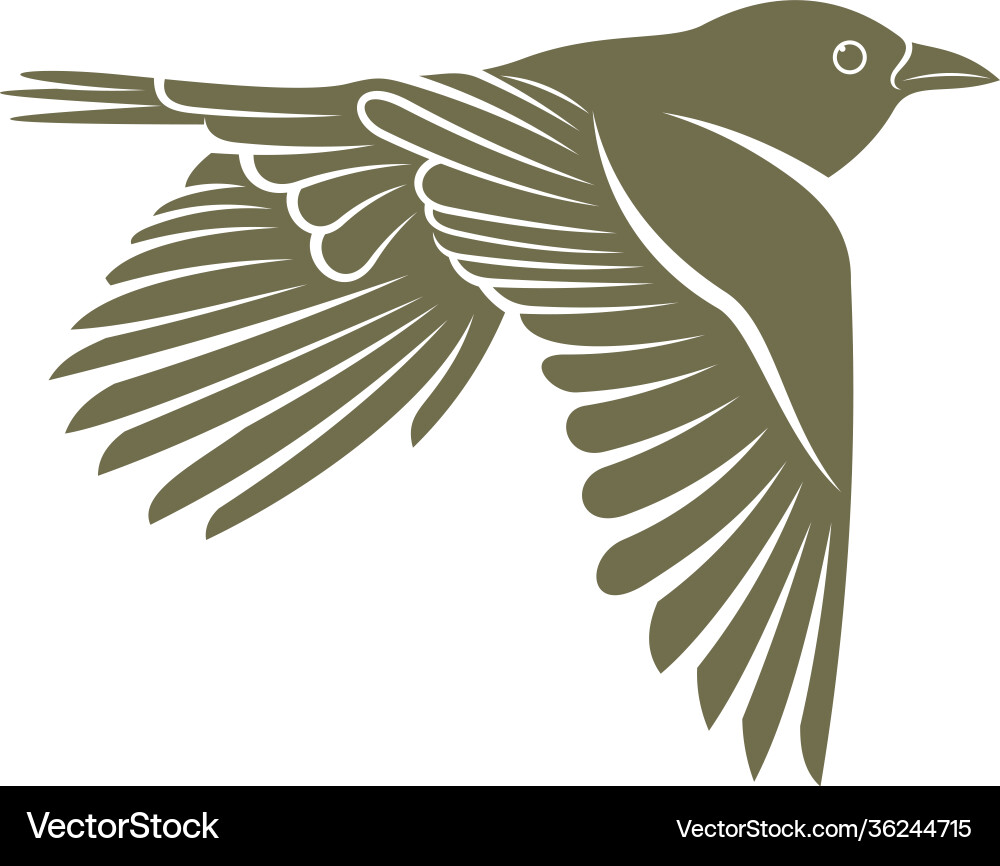 Lark bird logo design icon symbol template Vector Image