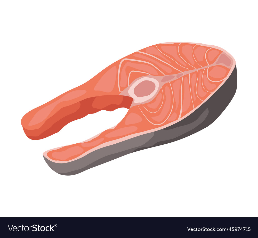 Salmon fish meat cut Royalty Free Vector Image