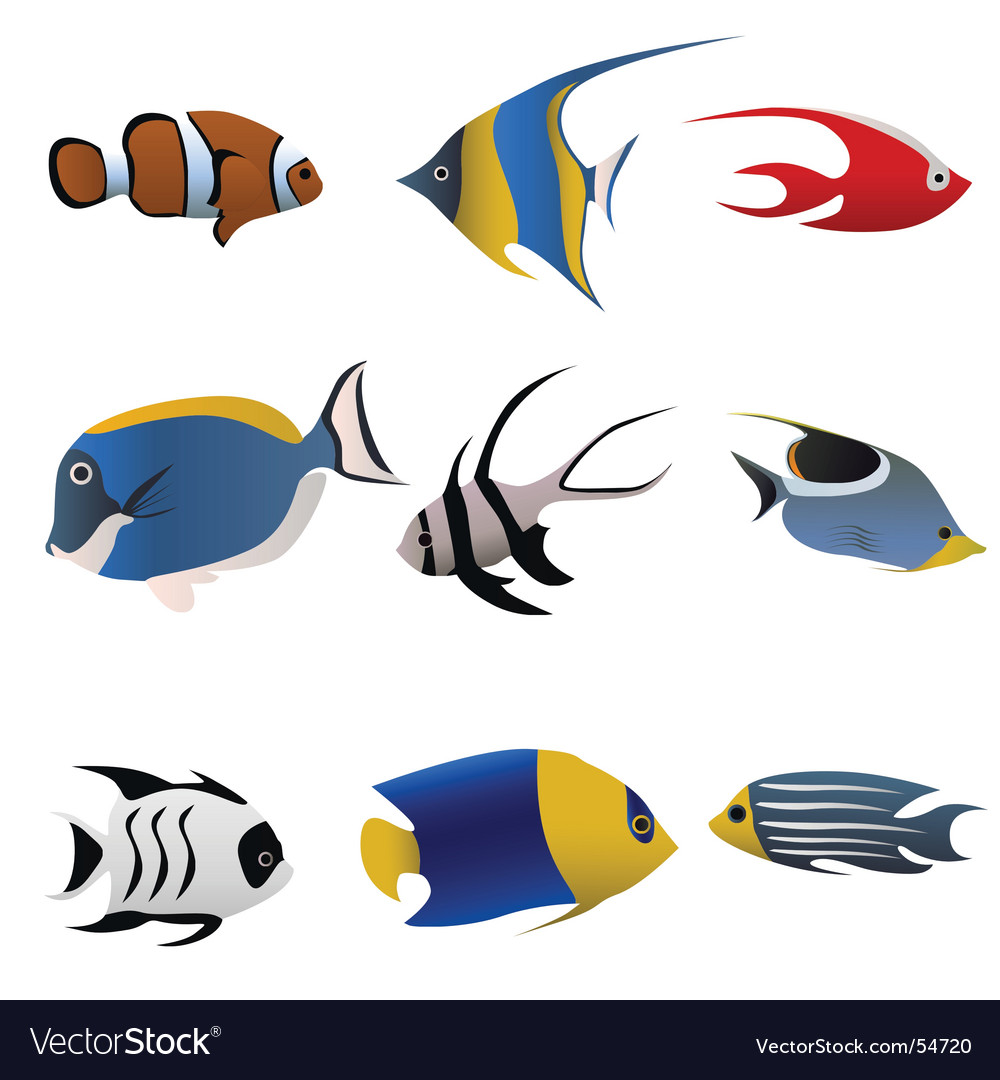 Download Tropical fish Royalty Free Vector Image - VectorStock