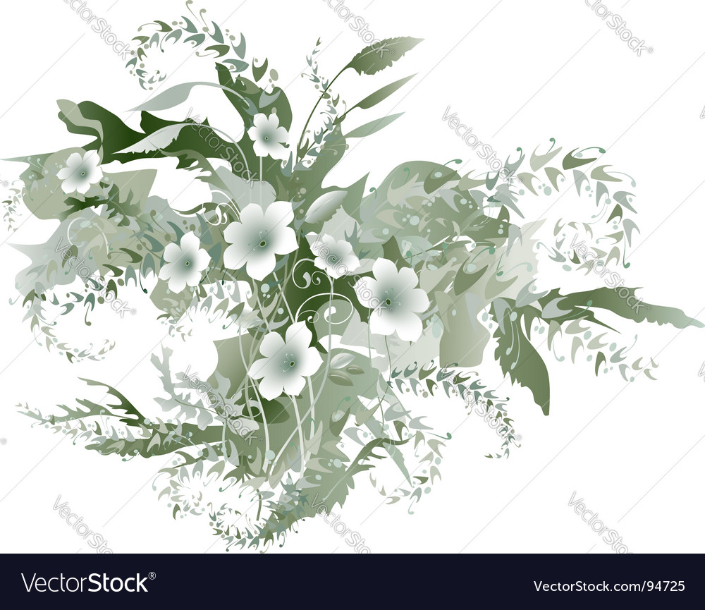 Delicate flowers Royalty Free Vector Image VectorStock