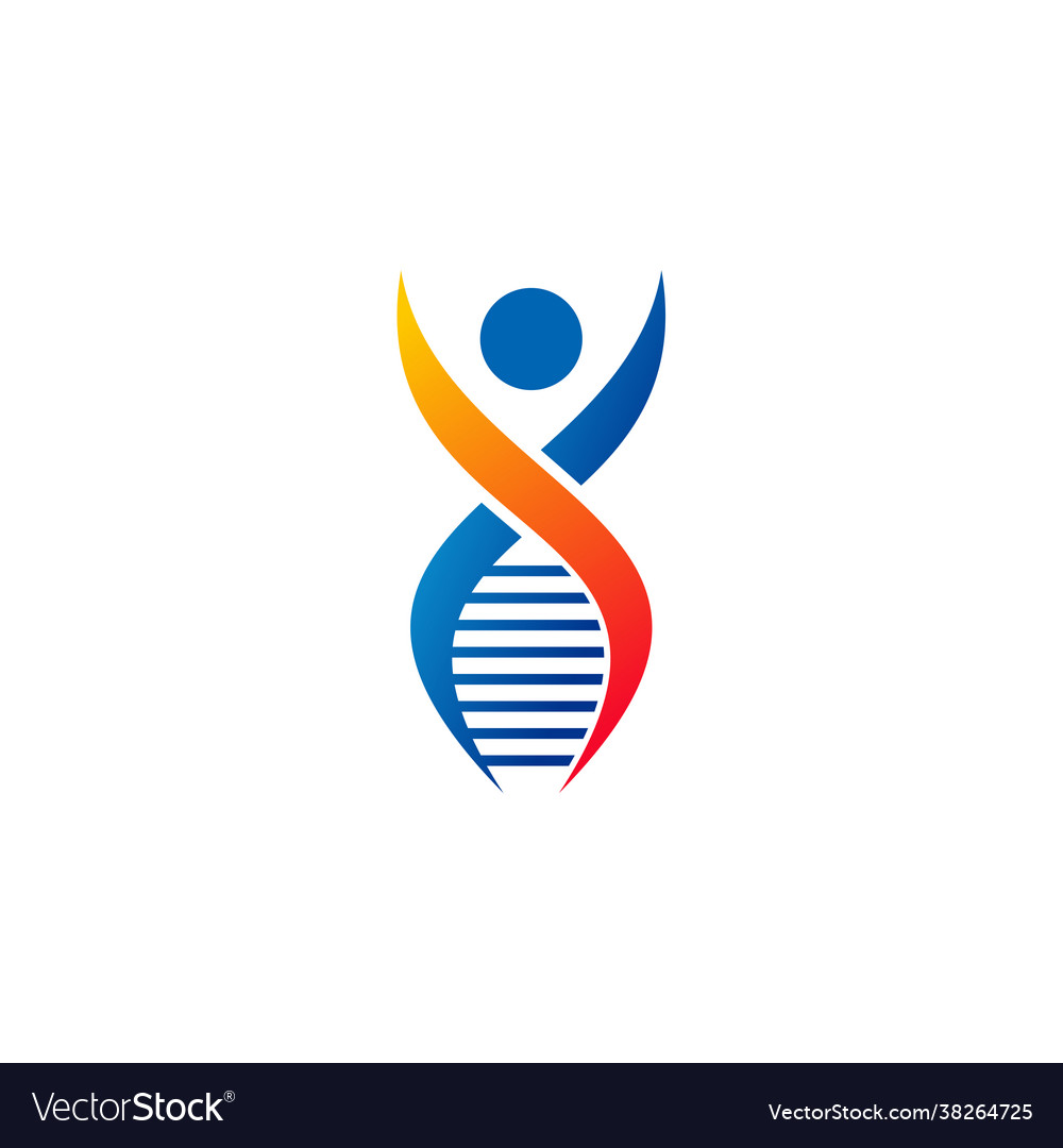 People Dna Logo Template Creative Dna Logo Vector Image