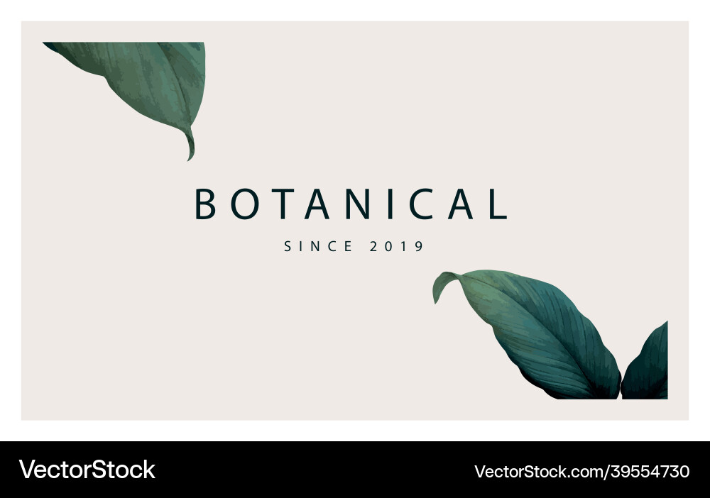 Business card template green leaf style set Vector Image
