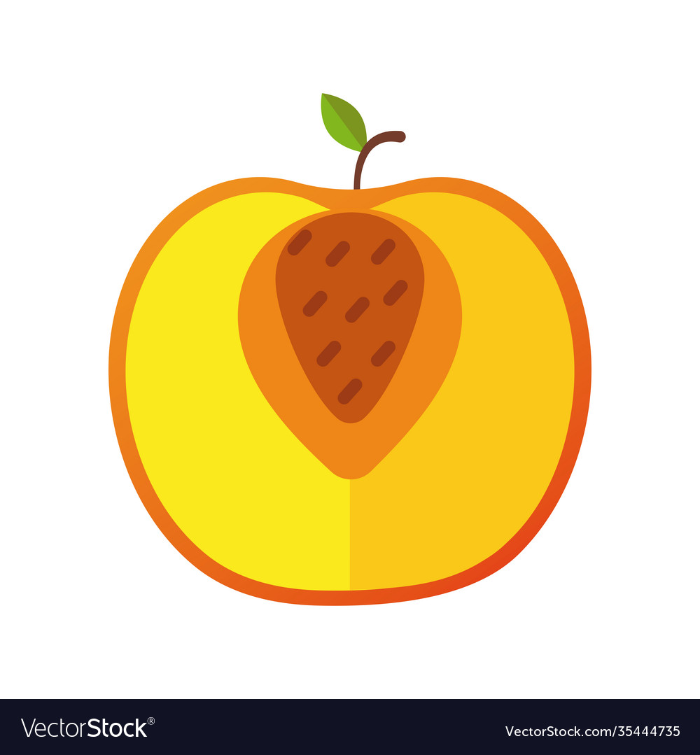 Apple fresh delicious half fruit isolated style