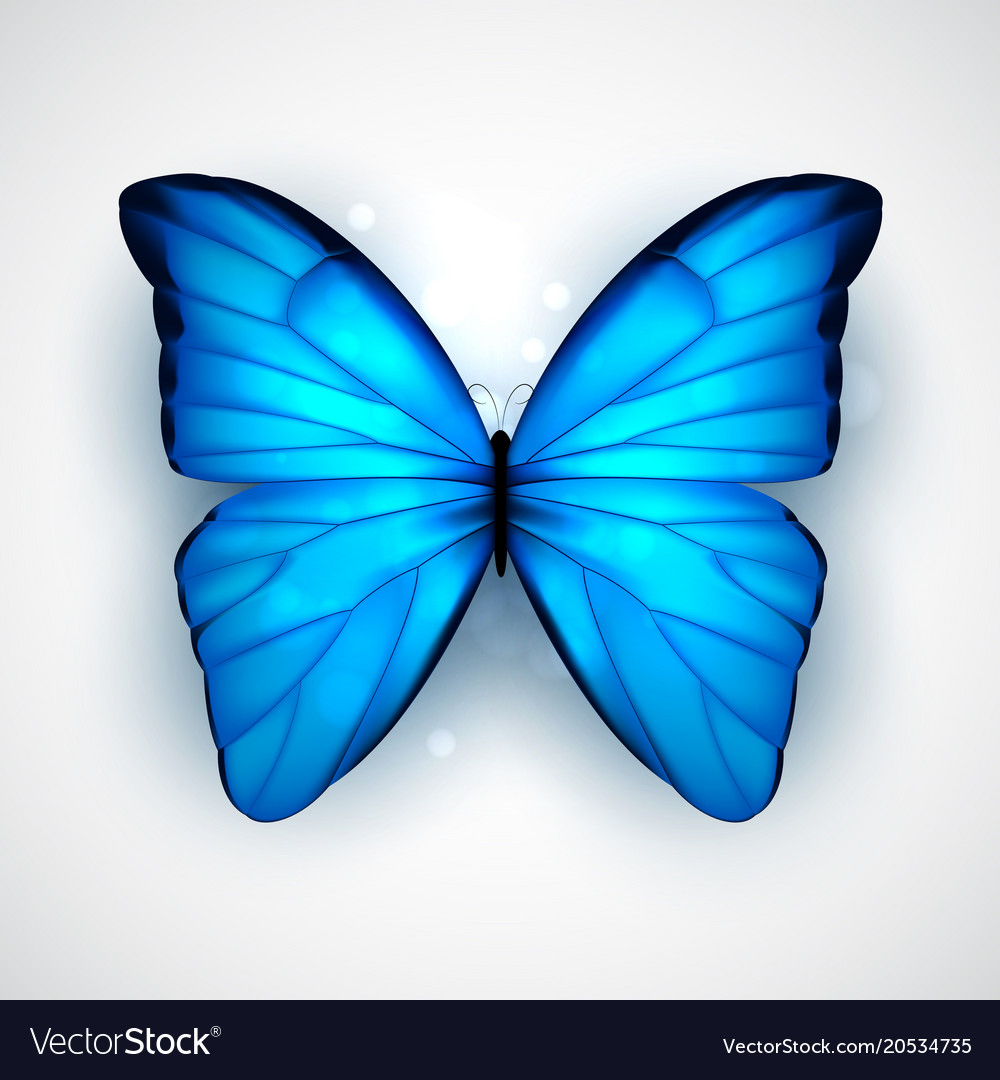 Free Free 156 Blue Butterfly Svg Free SVG PNG EPS DXF File