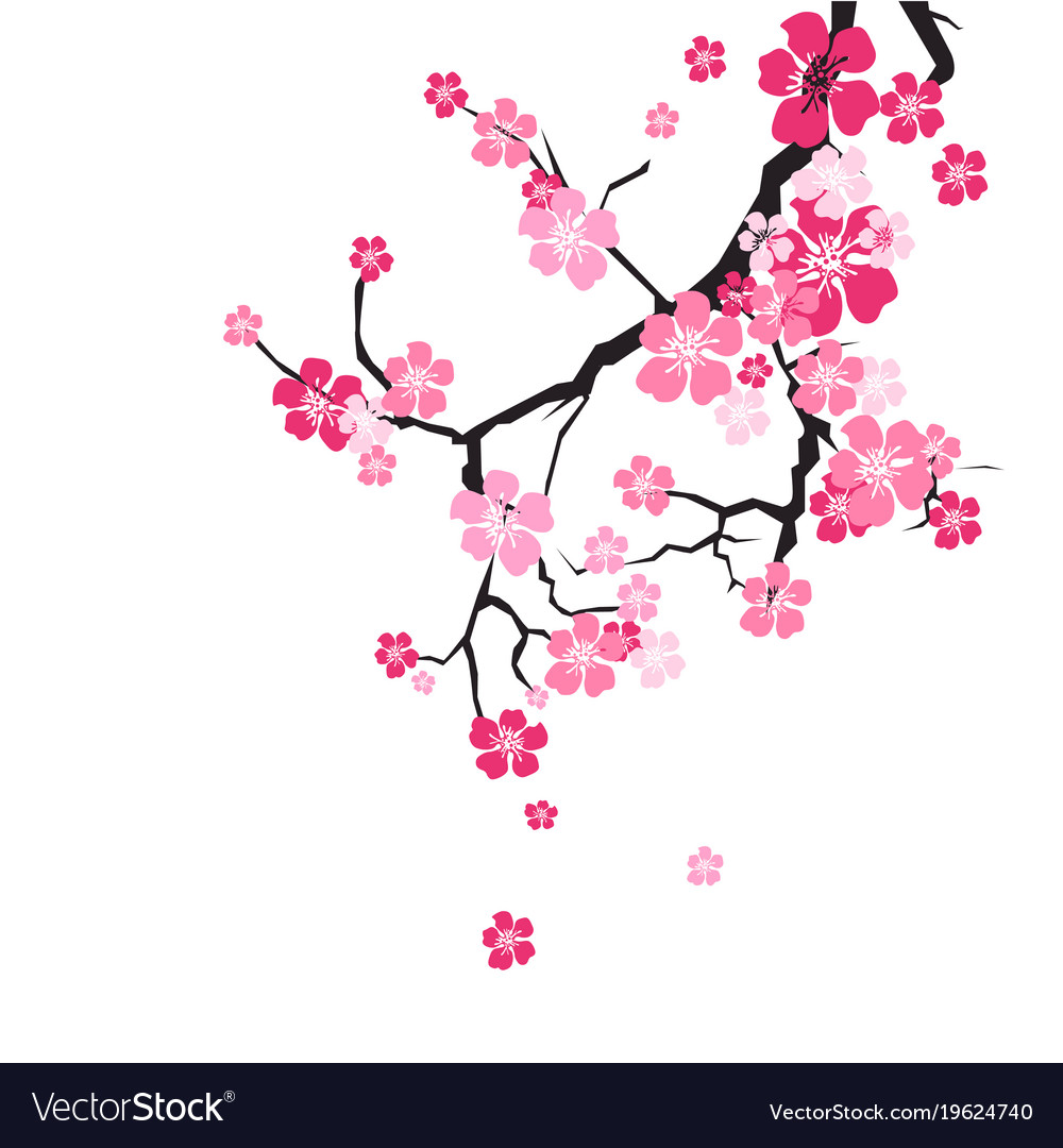 cherry blossom background sakura flowers pink on vector 19624740