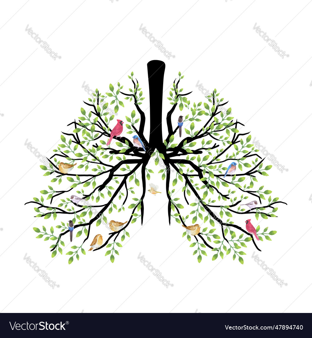 Menschliche Lunge voller Vögel Nest und grüne Blätter vector image Menschliche Lunge voller Vögel Nest und grüne Blätter