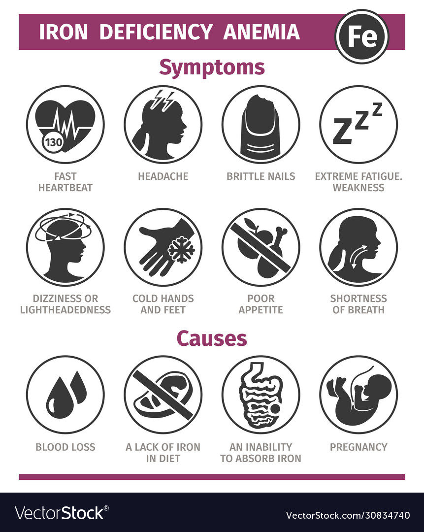 Symptoms and causes iron deficiency anemia Vector Image