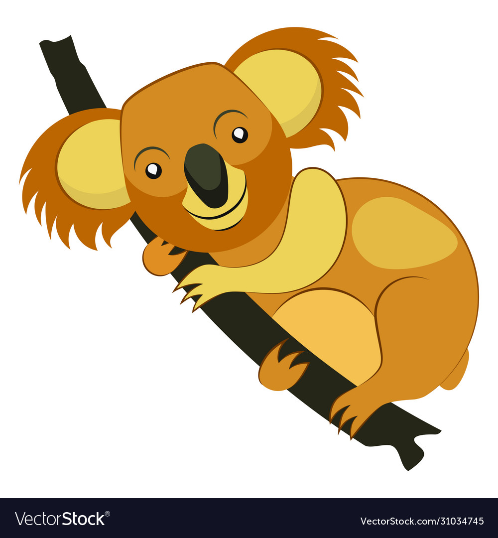 Koala bear on tree branch Royalty Free Vector Image