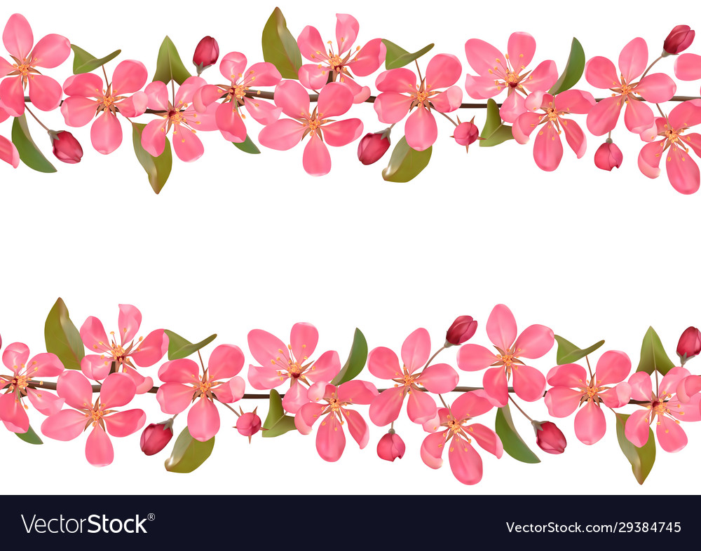 Pink blossoming cherry branches with bokeh effect Vector Image