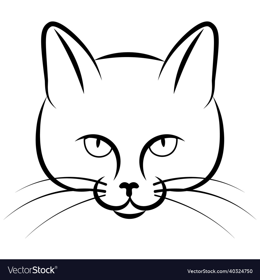 Sketch of a cats face on white background