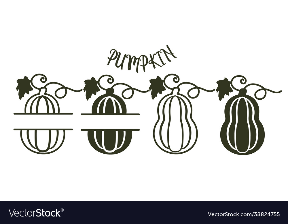 Pumpkins with horizontal empty frame for text vector image Pumpkins with horizontal empty frame for text