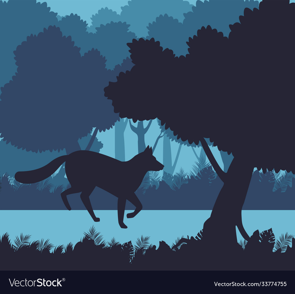 Wild fox animal nature silhouette in landscape