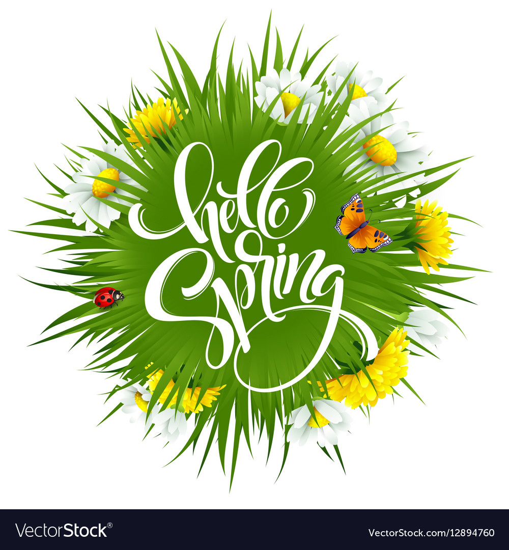 Inscription hello spring hand lettering Royalty Free Vector