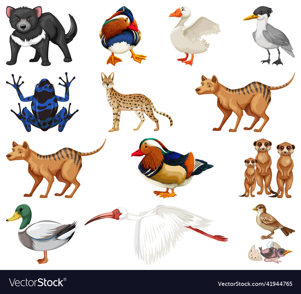 different-kinds-of-animals-collection-royalty-free-vector