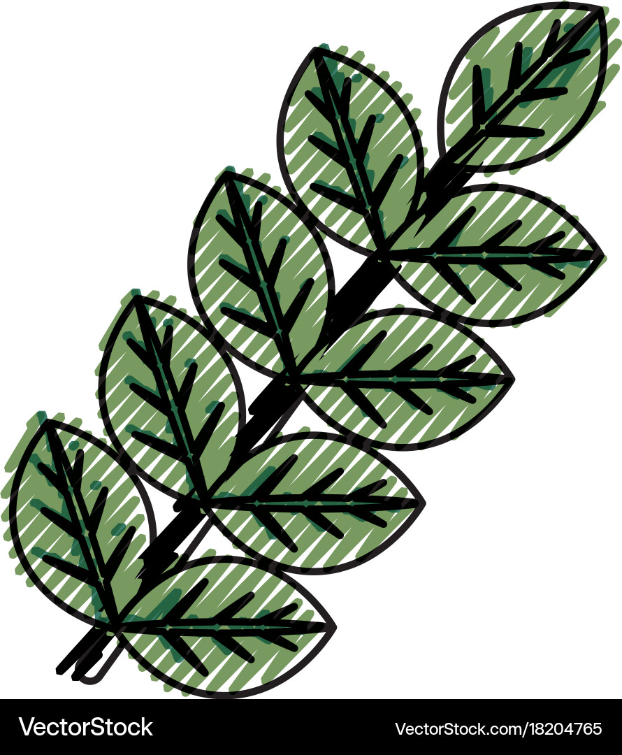 Leaves Royalty Free Vector Image - VectorStock