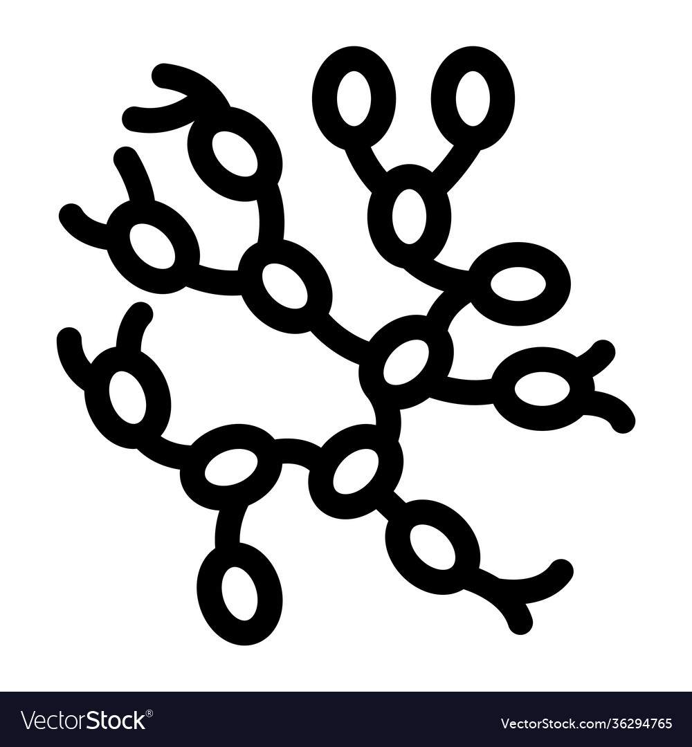 Lymph Nodes Royalty Free Vector Image Vectorstock Lymph Nodes Royalty Free Vector Image Vectorstock