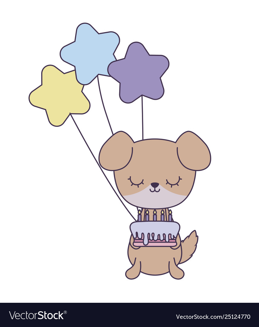 Cute dog with cake birthday and balloons helium