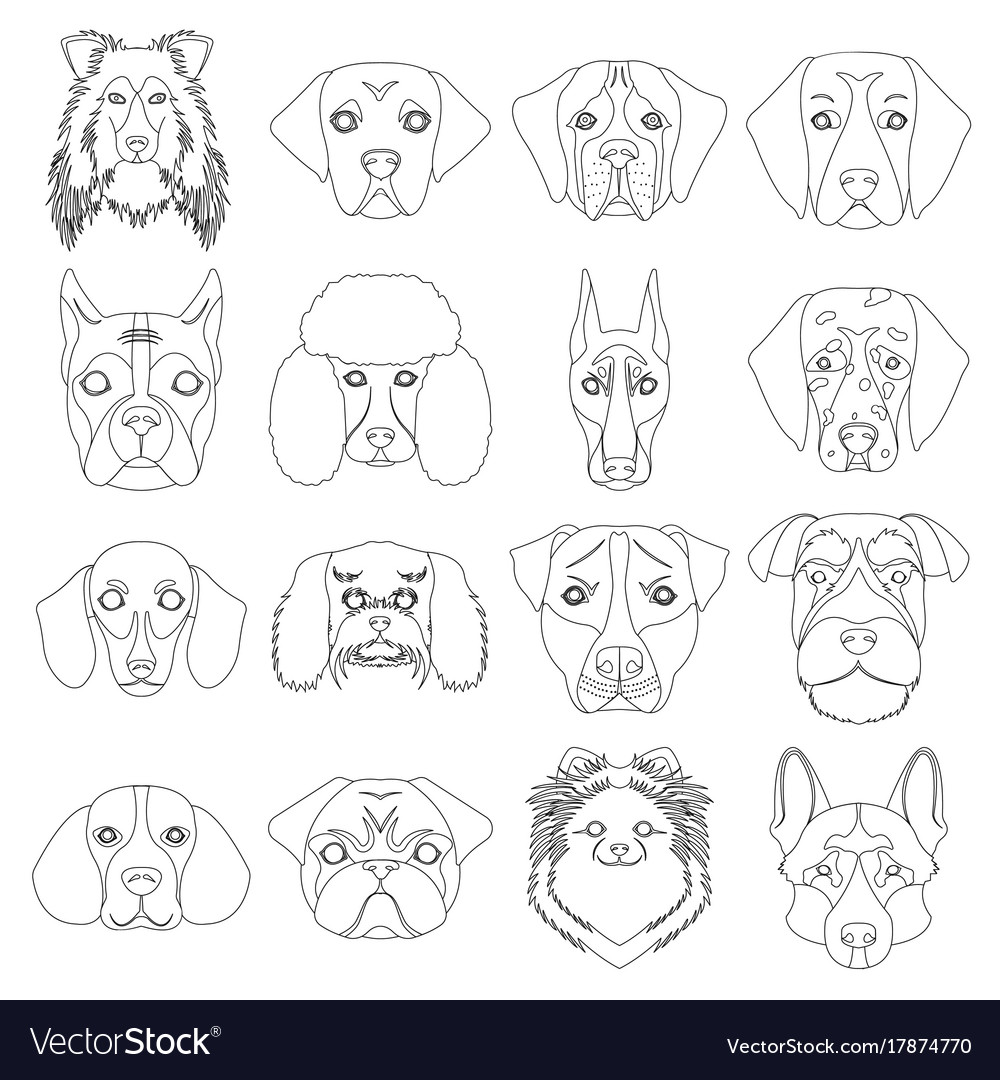 Doberman dalmatian dachshund spitz stafford Vector Image