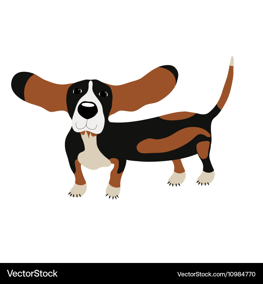 free basset hound