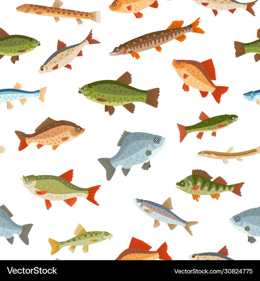 Seamless freshwater fish pattern a seafood Vector Image