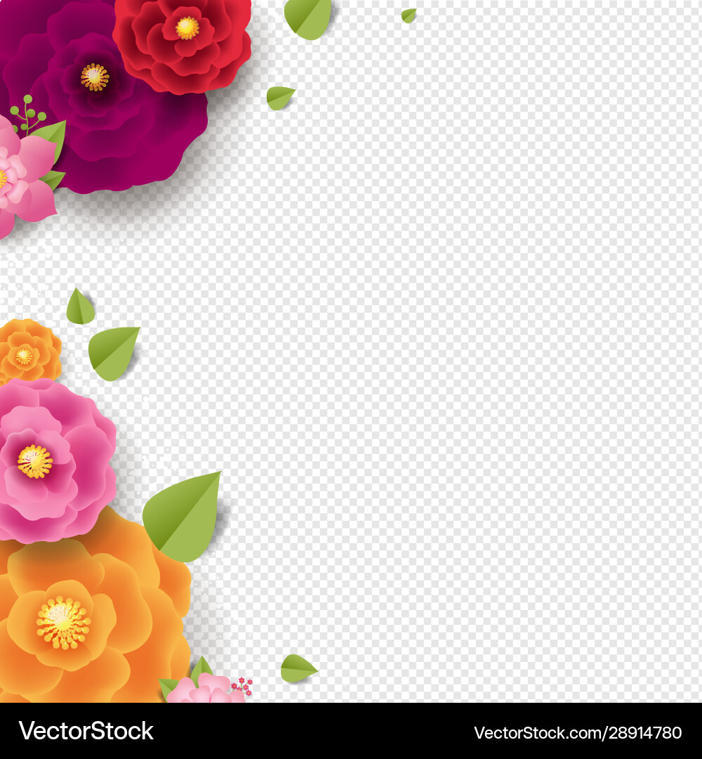 Spring border with color flowers transparent Vector Image
