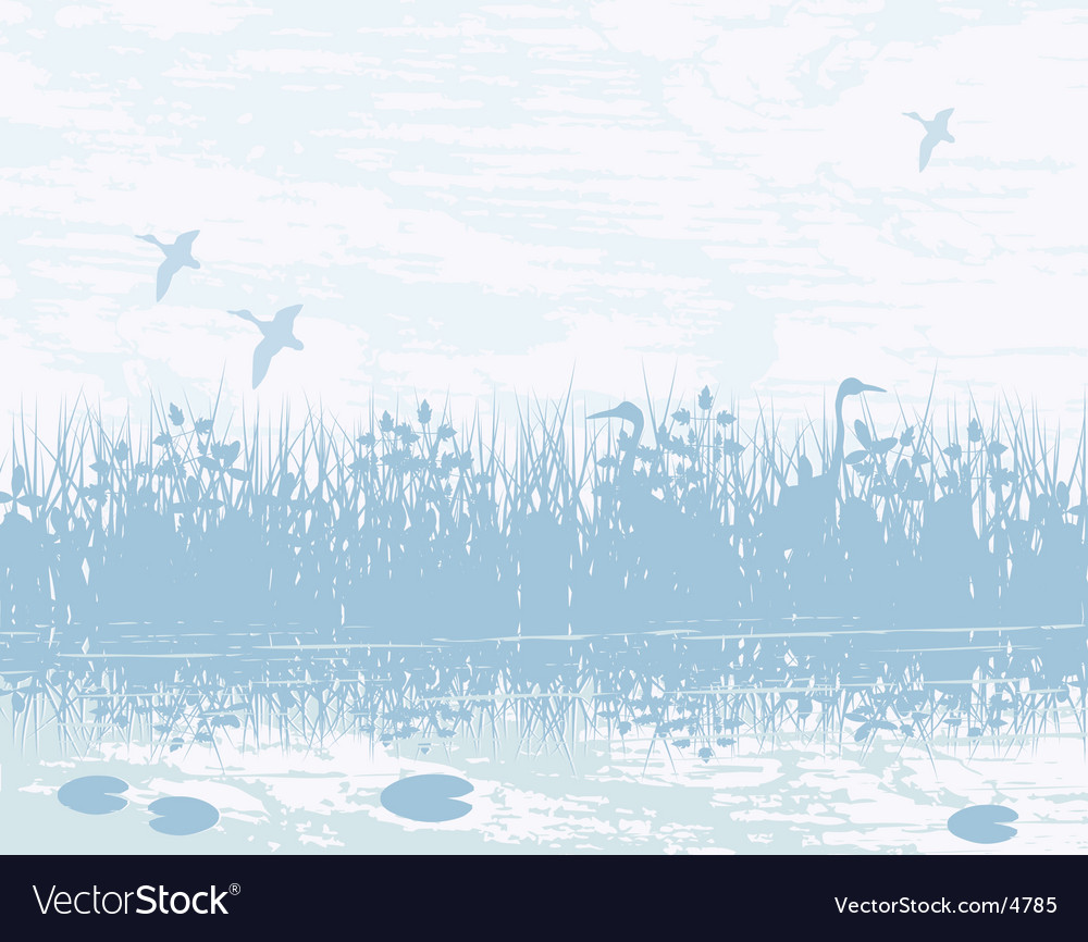 Wetland Royalty Free Vector Image - VectorStock