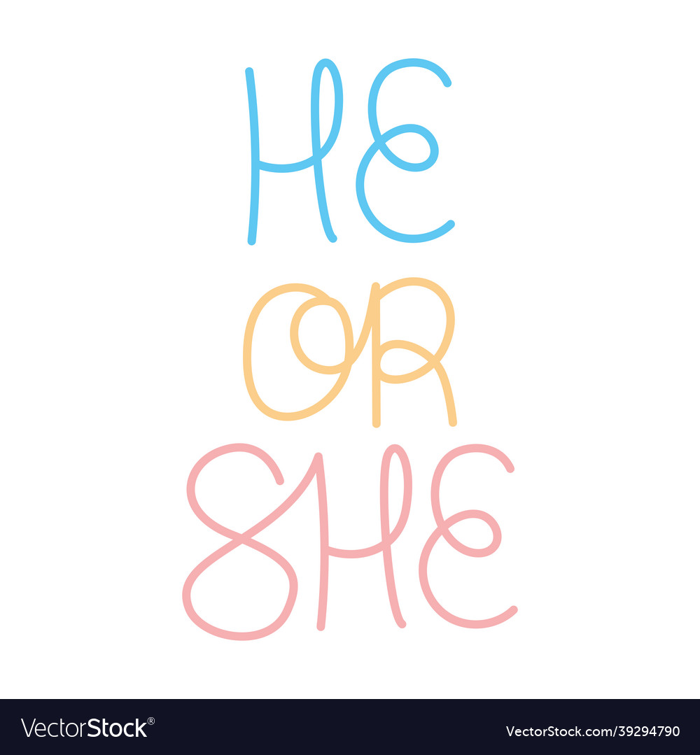 He Or She Lettering Royalty Free Vector Image Vectorstock