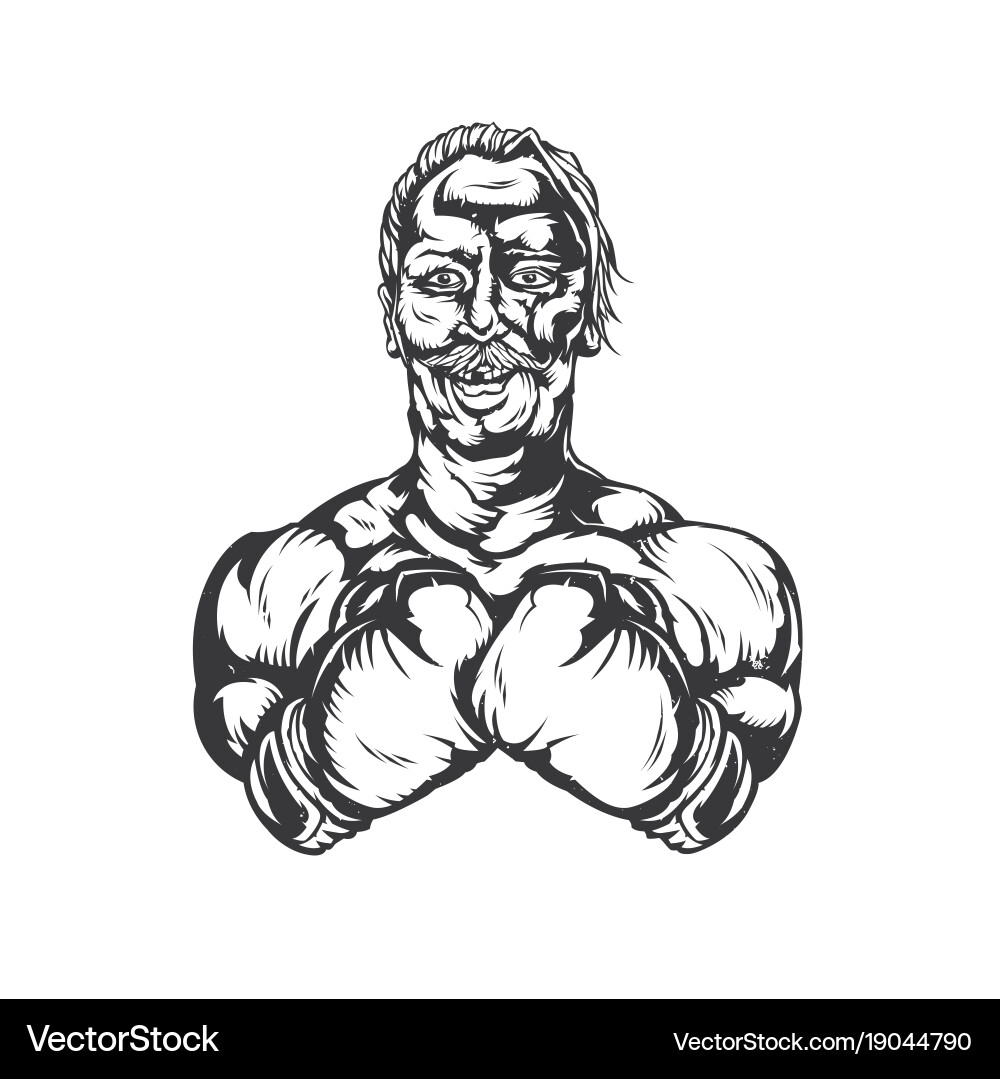 Isloated Vector Isolated Royalty Free Vector Image - VectorStock