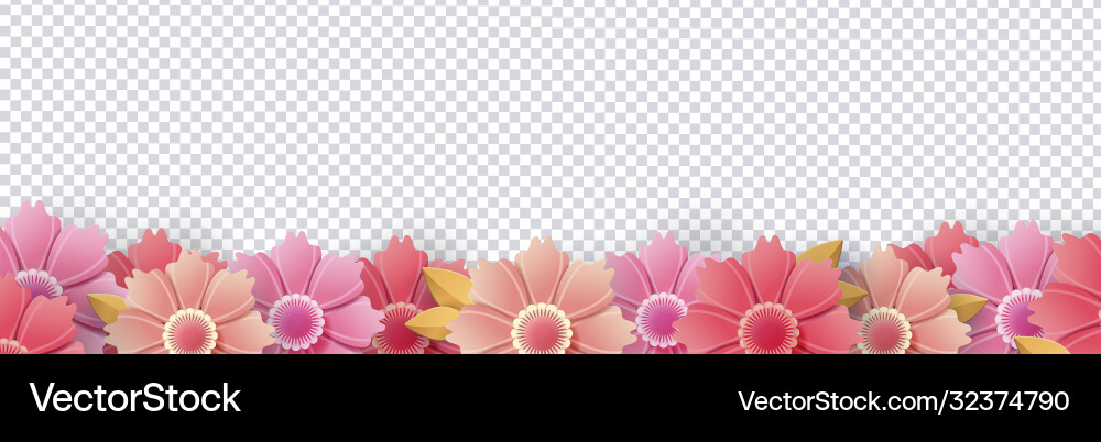 Spring flowers isolated on transparent background Vector Image