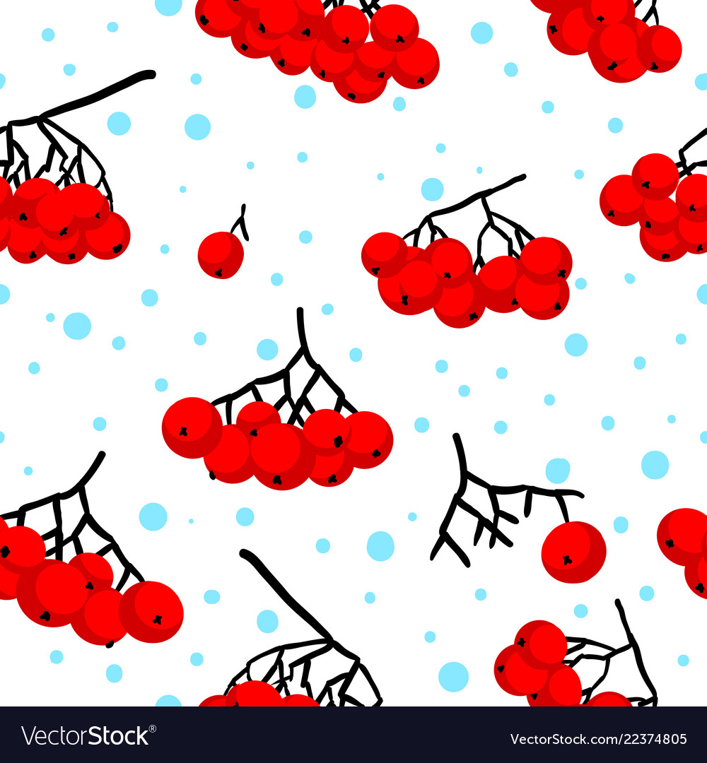Pattern with bunches of rowan vector image Pattern with bunches of rowan
