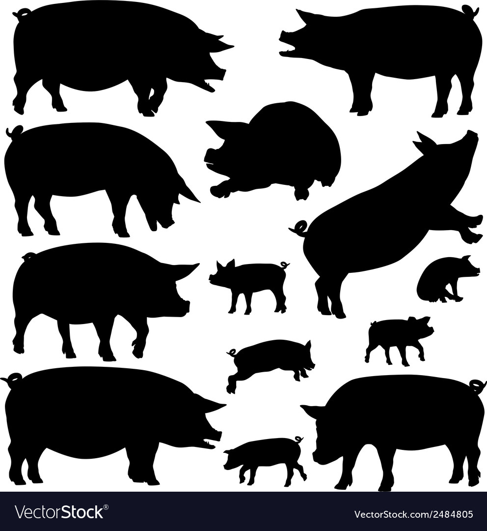 Free Free 245 Baby Pig Svg Free SVG PNG EPS DXF File