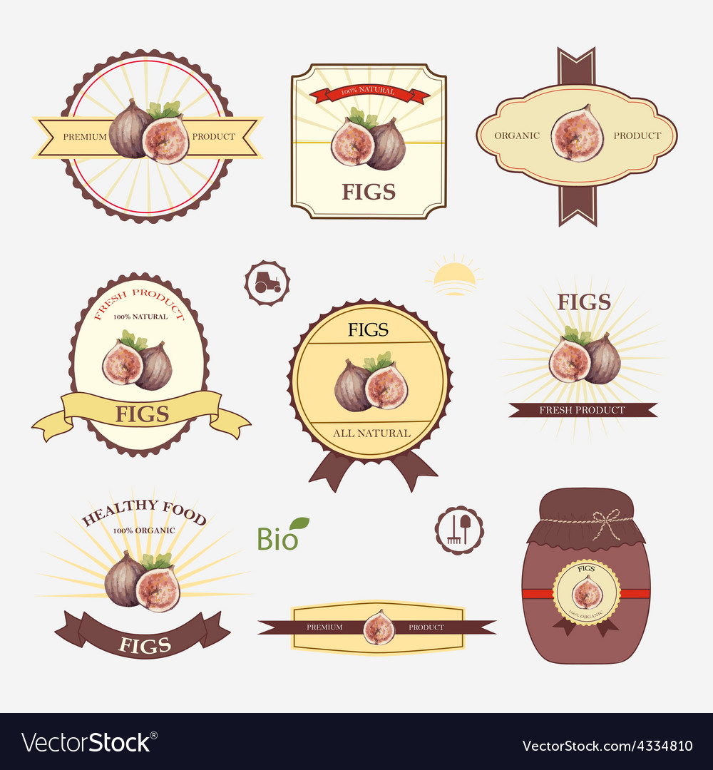Figs set of label design Royalty Free Vector Image