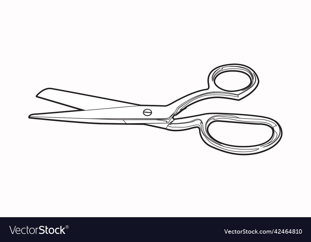 Scissors vector image Scissors
