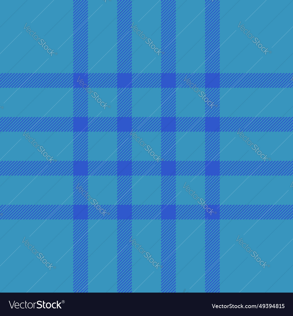 Background pattern textile of seamless texture Vector Image