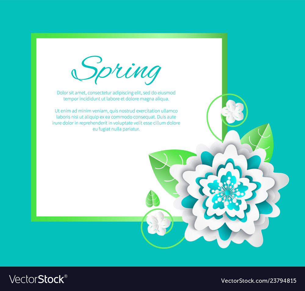 Spring flower and poster with text sample isolated vector image Spring flower and poster with text sample isolated
