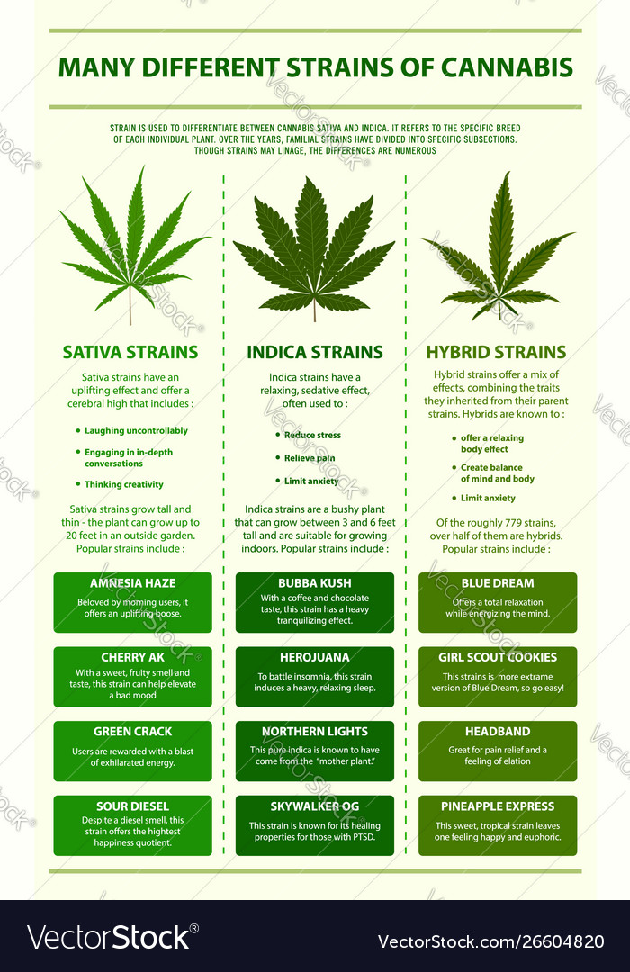 different types of weed