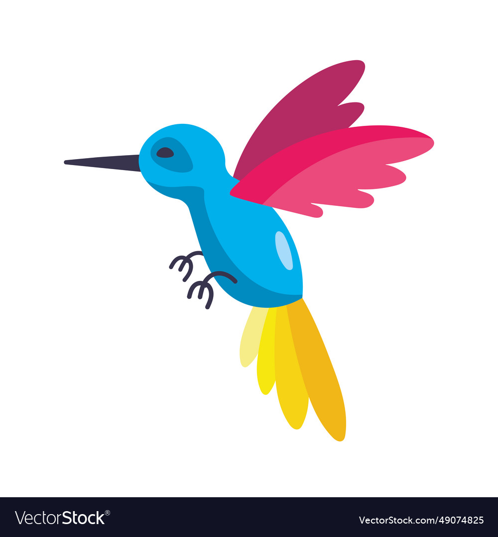 Colombian hummingbird bird Royalty Free Vector Image