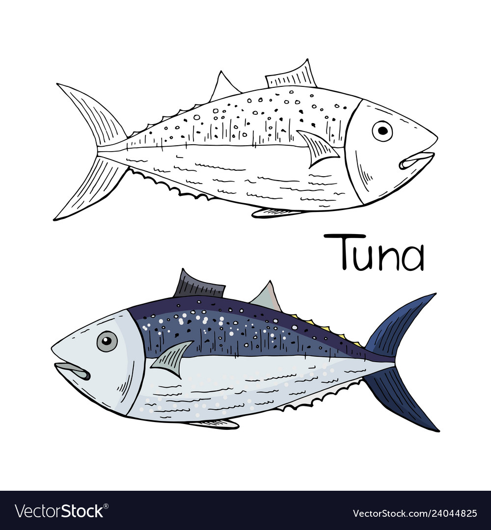 Hand drawn tuna fish black and white color