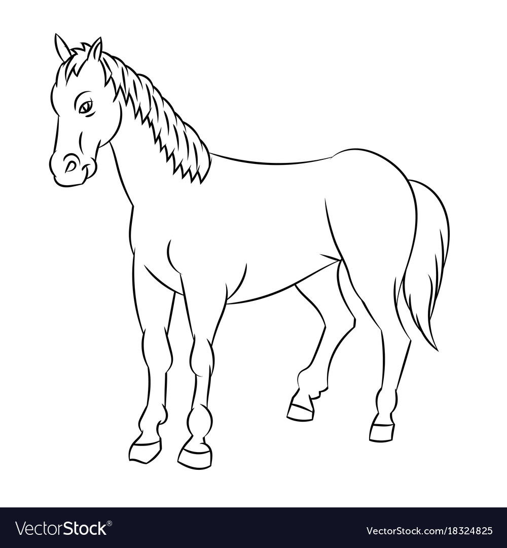 Line Drawing Horse : See horse line drawing stock video clips. - Qurex